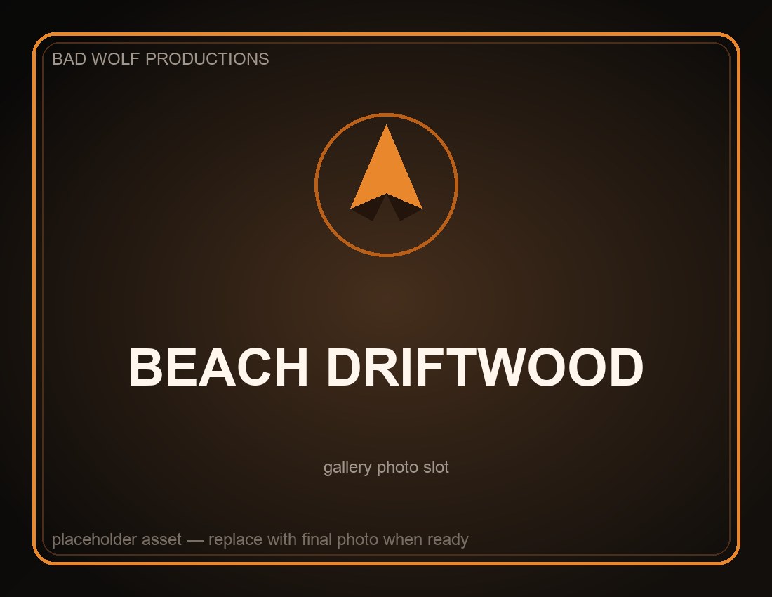 Kut — beach driftwood